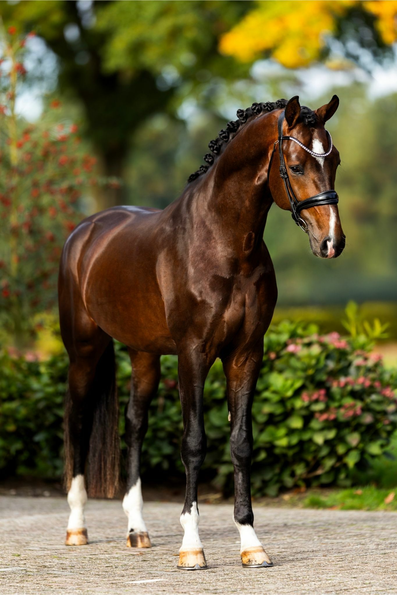 Ontwerp zonder titel 11