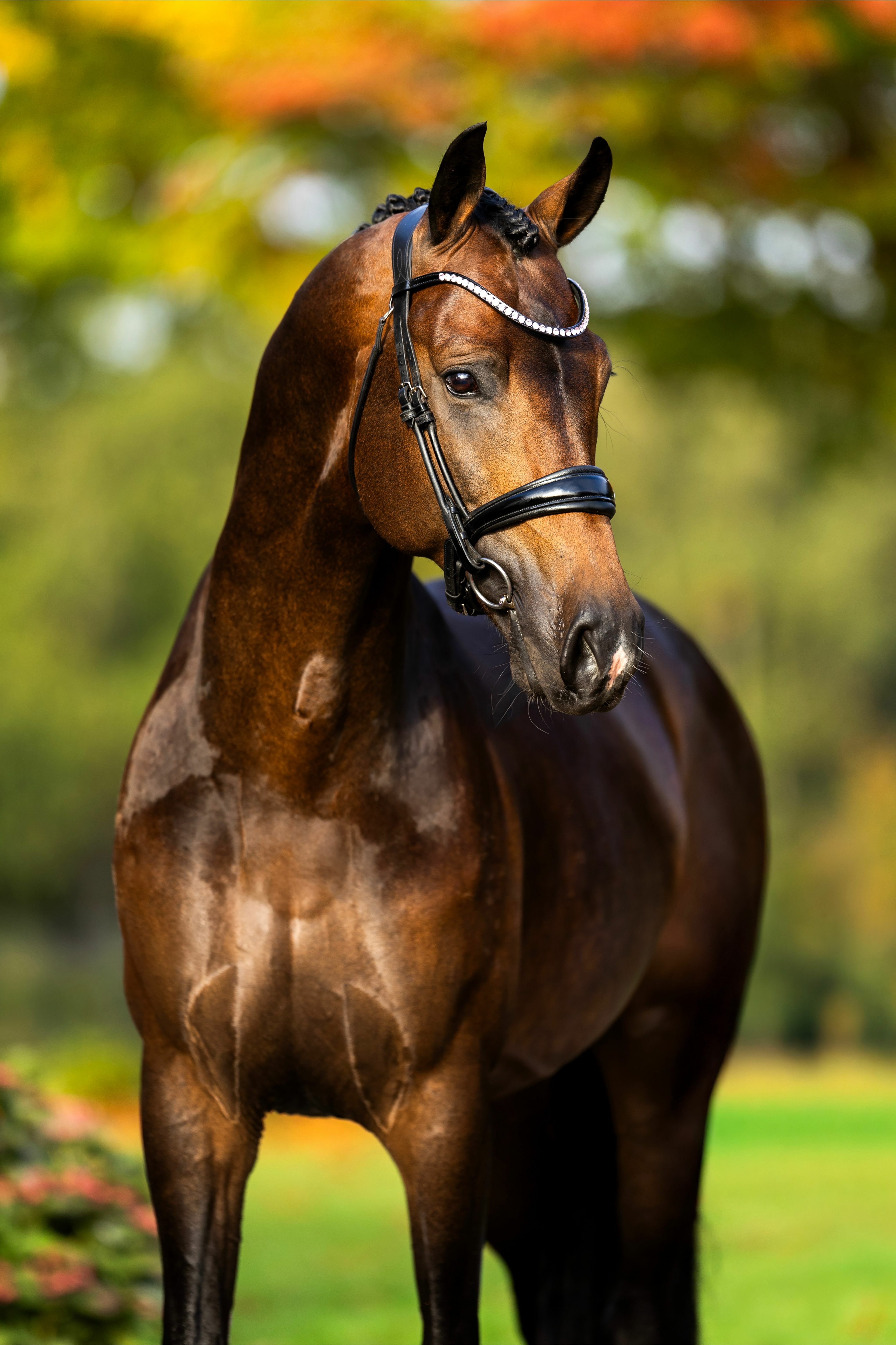 Ontwerp zonder titel 18