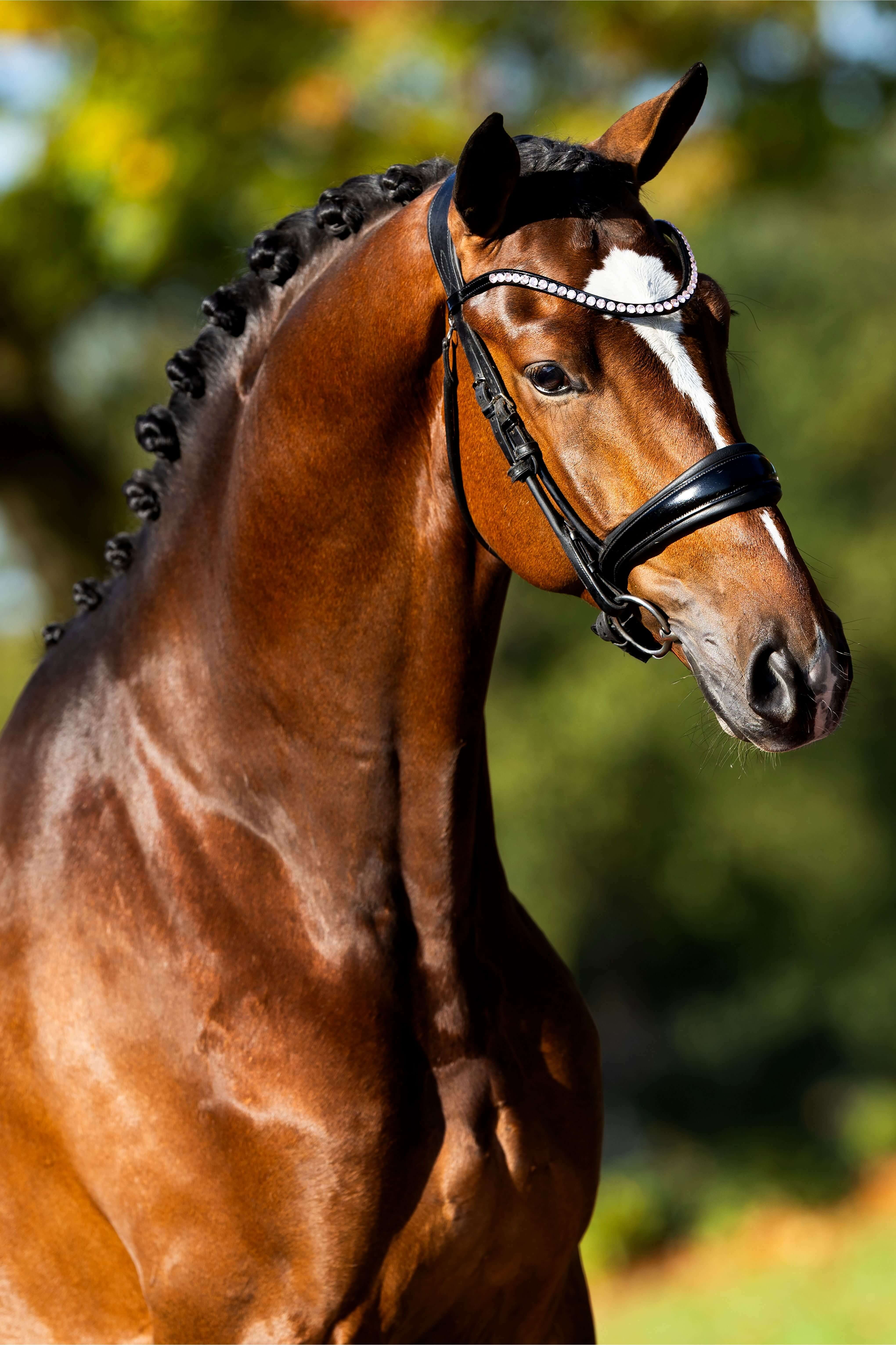 Ontwerp zonder titel 28 1