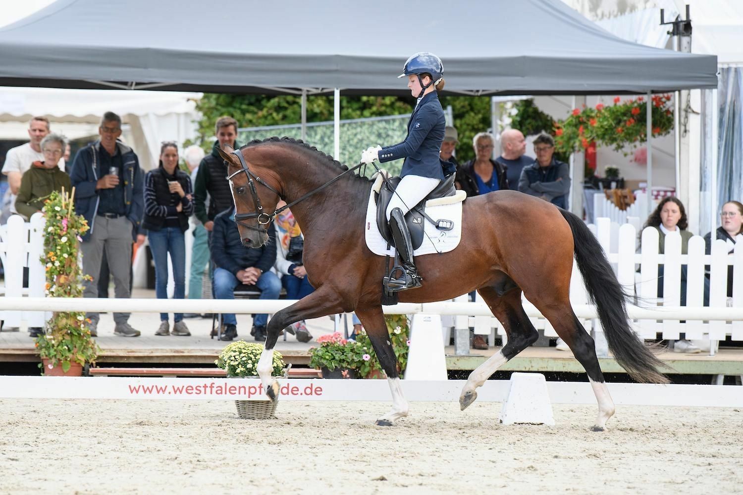 Ontwerp zonder titel 3