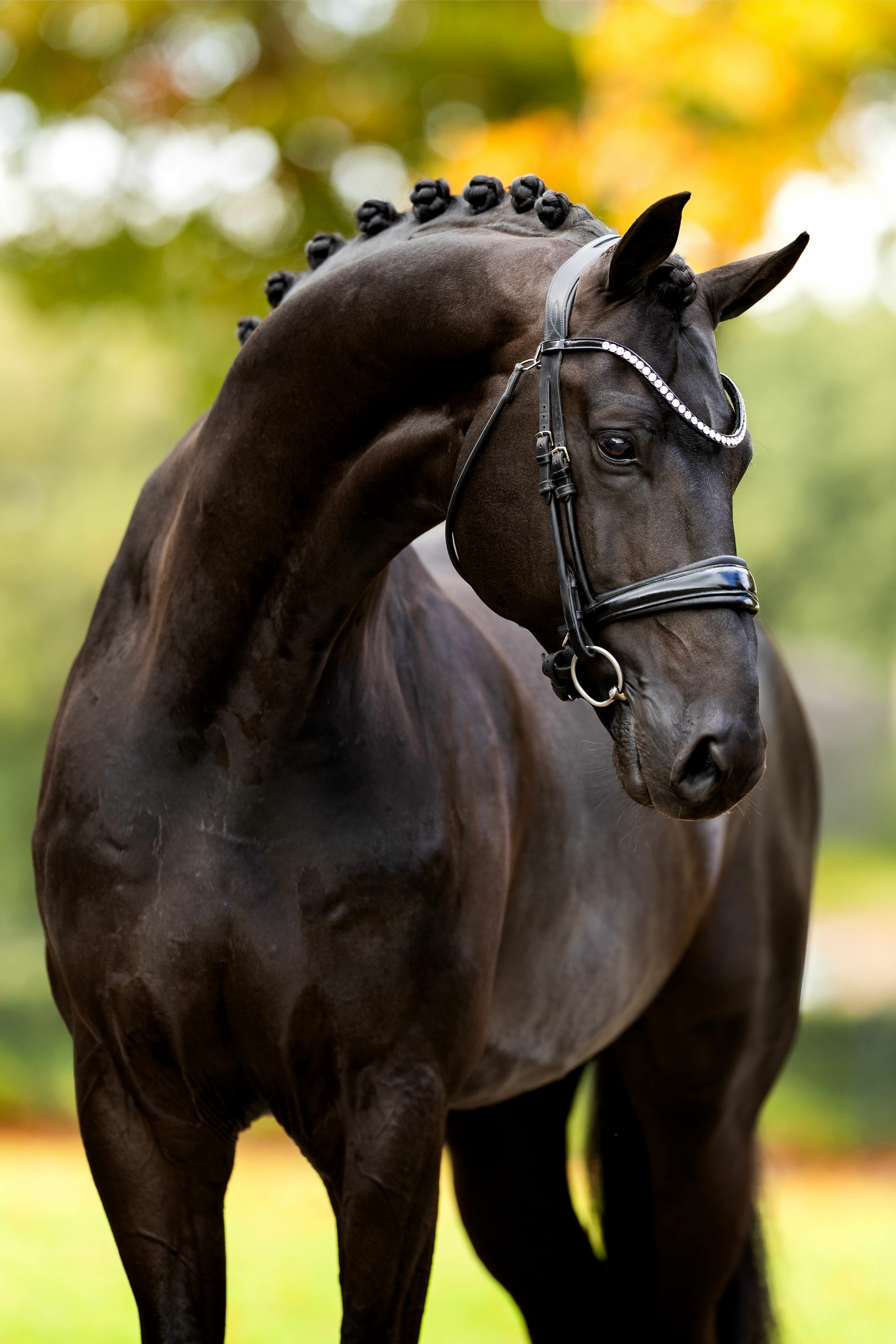 Ontwerp zonder titel 32