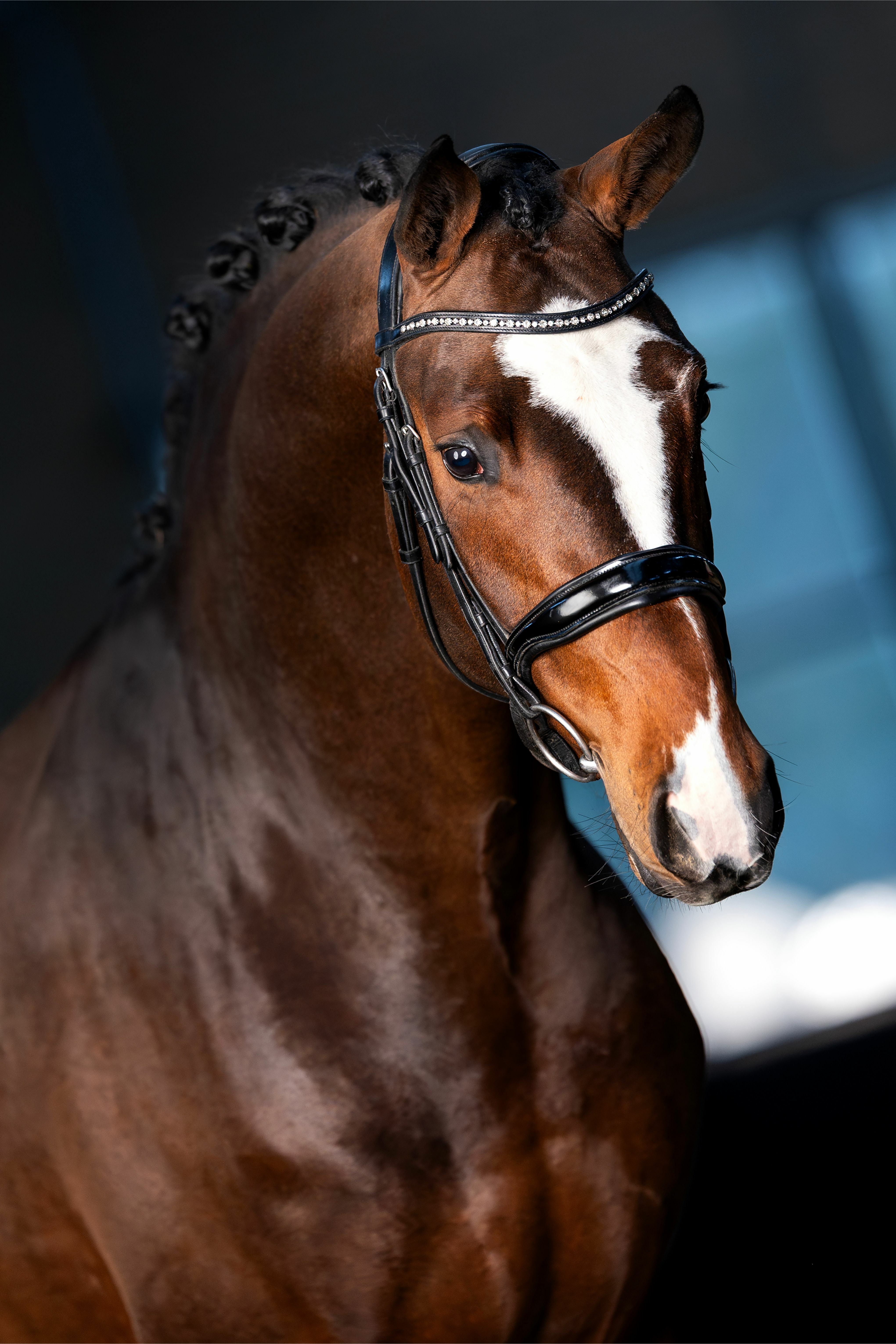 Ontwerp zonder titel 5