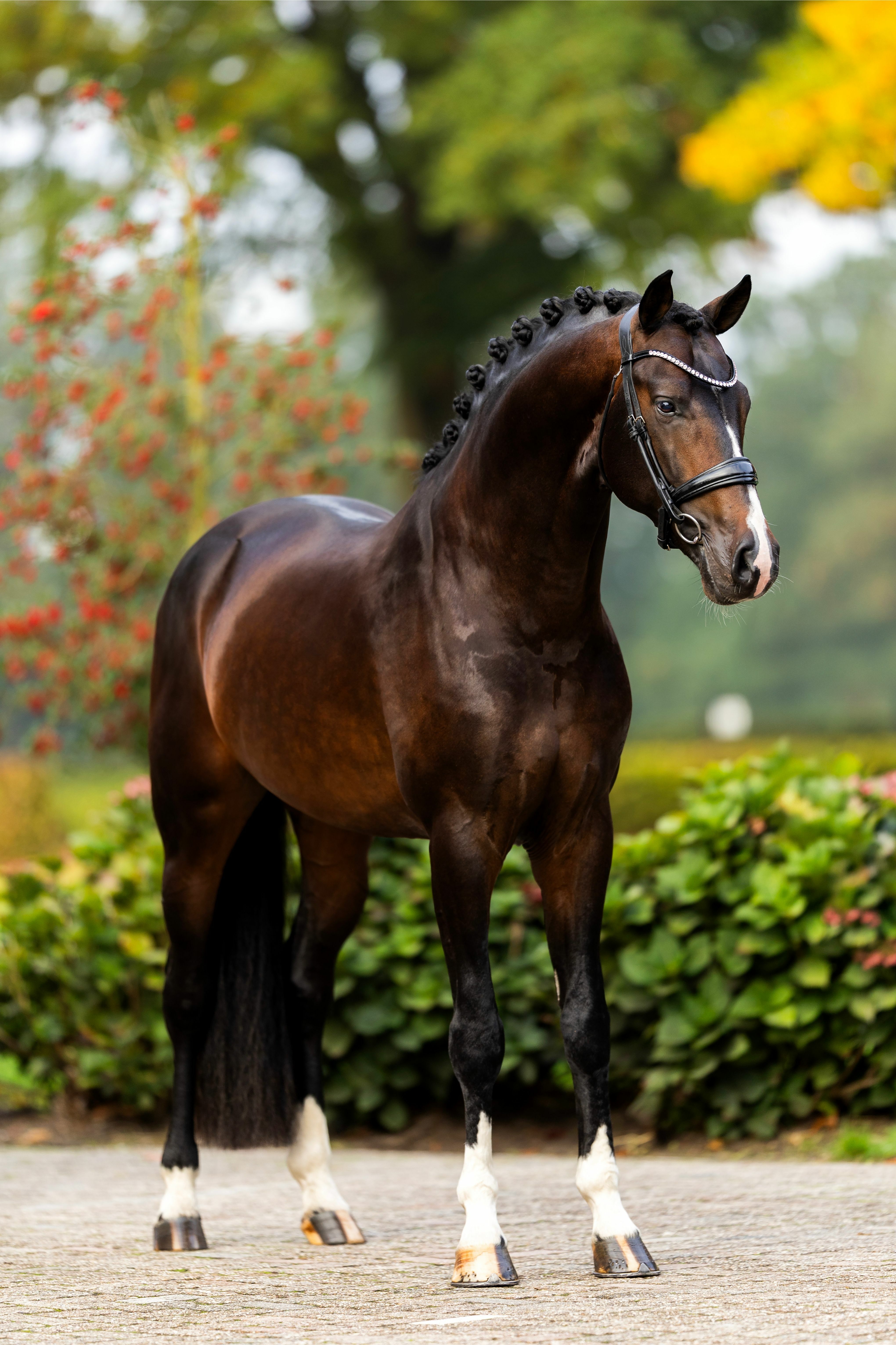 Ontwerp zonder titel 53