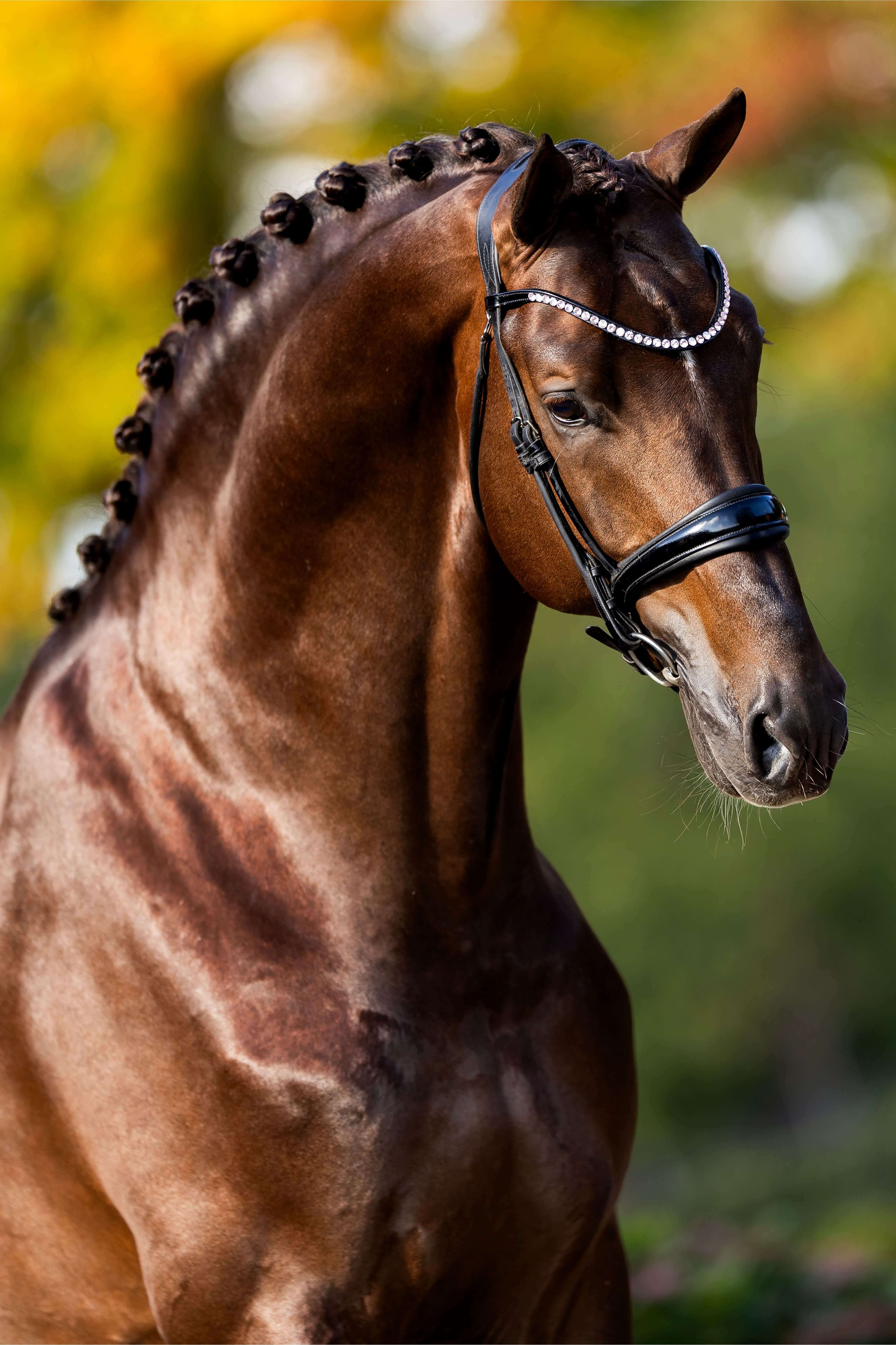 Ontwerp zonder titel 57 1