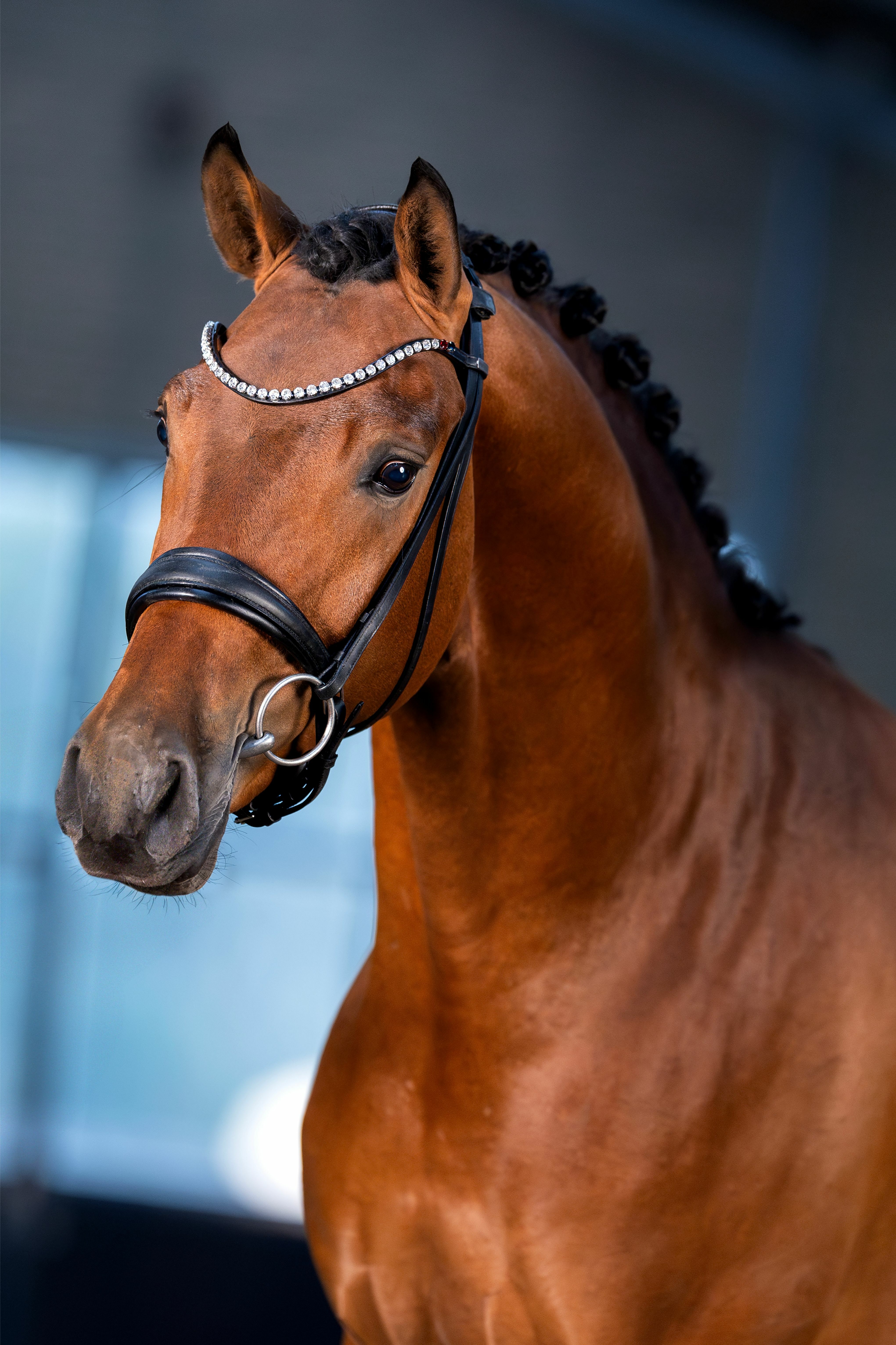 Ontwerp zonder titel 66