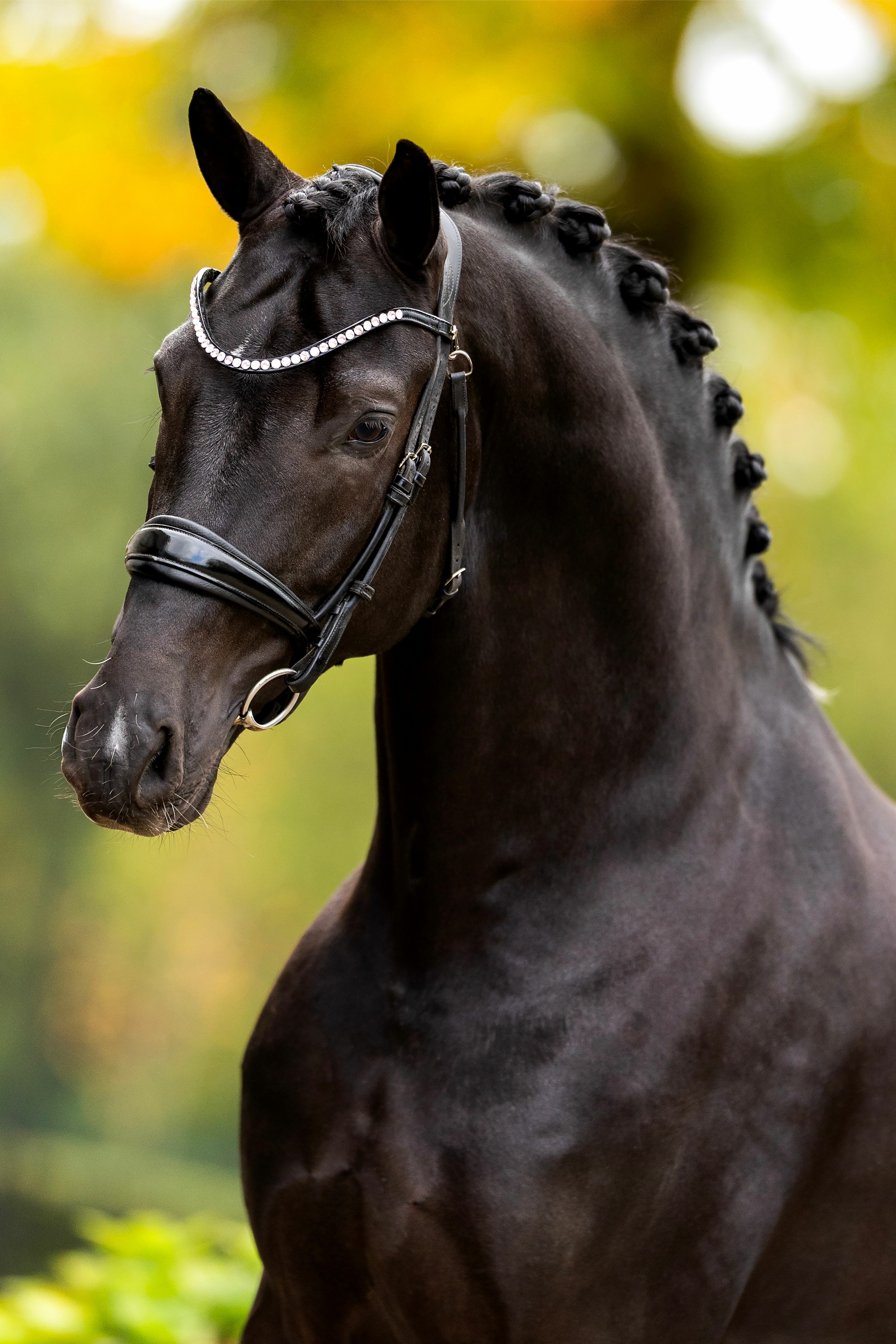 Ontwerp zonder titel 71