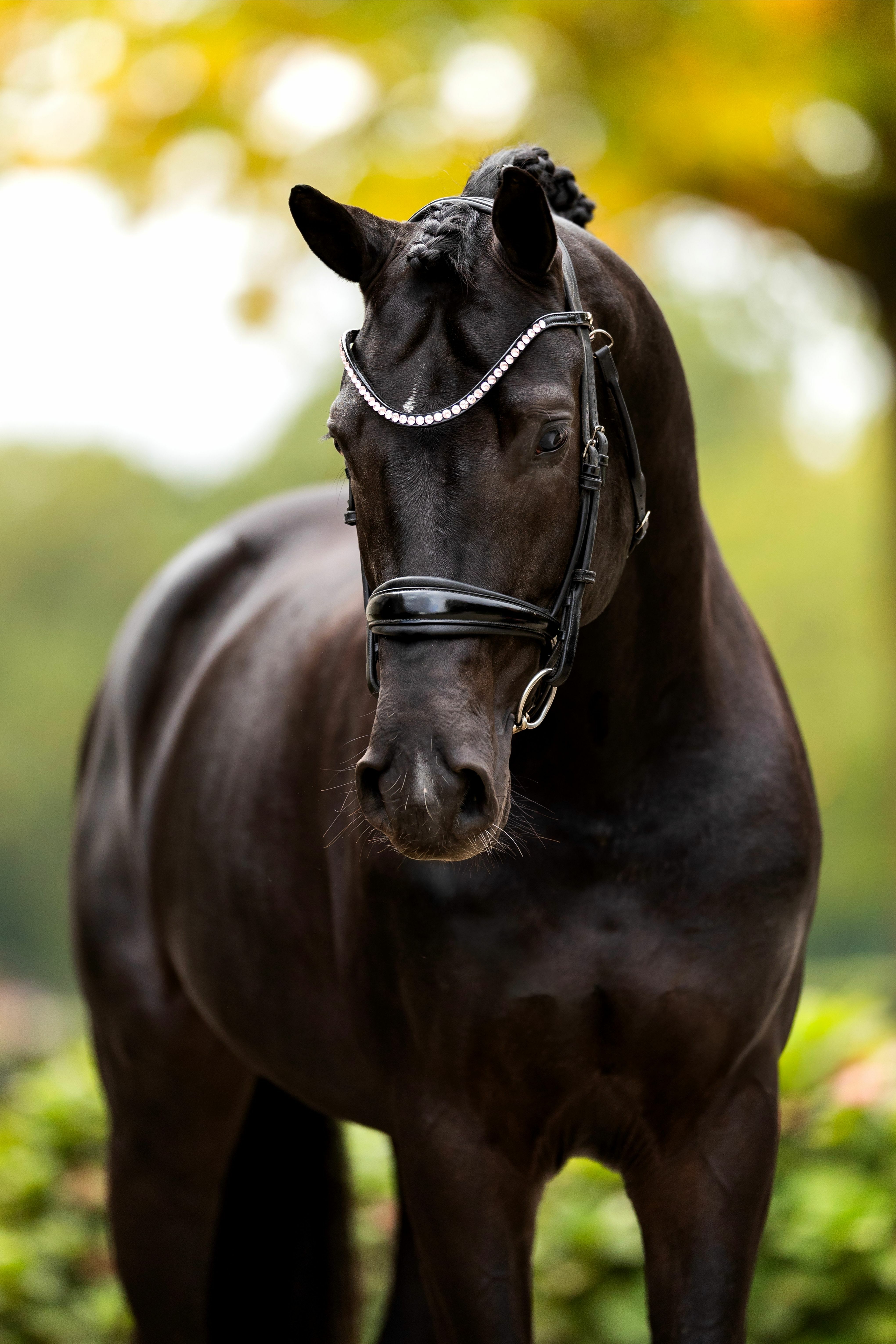 Ontwerp zonder titel 72