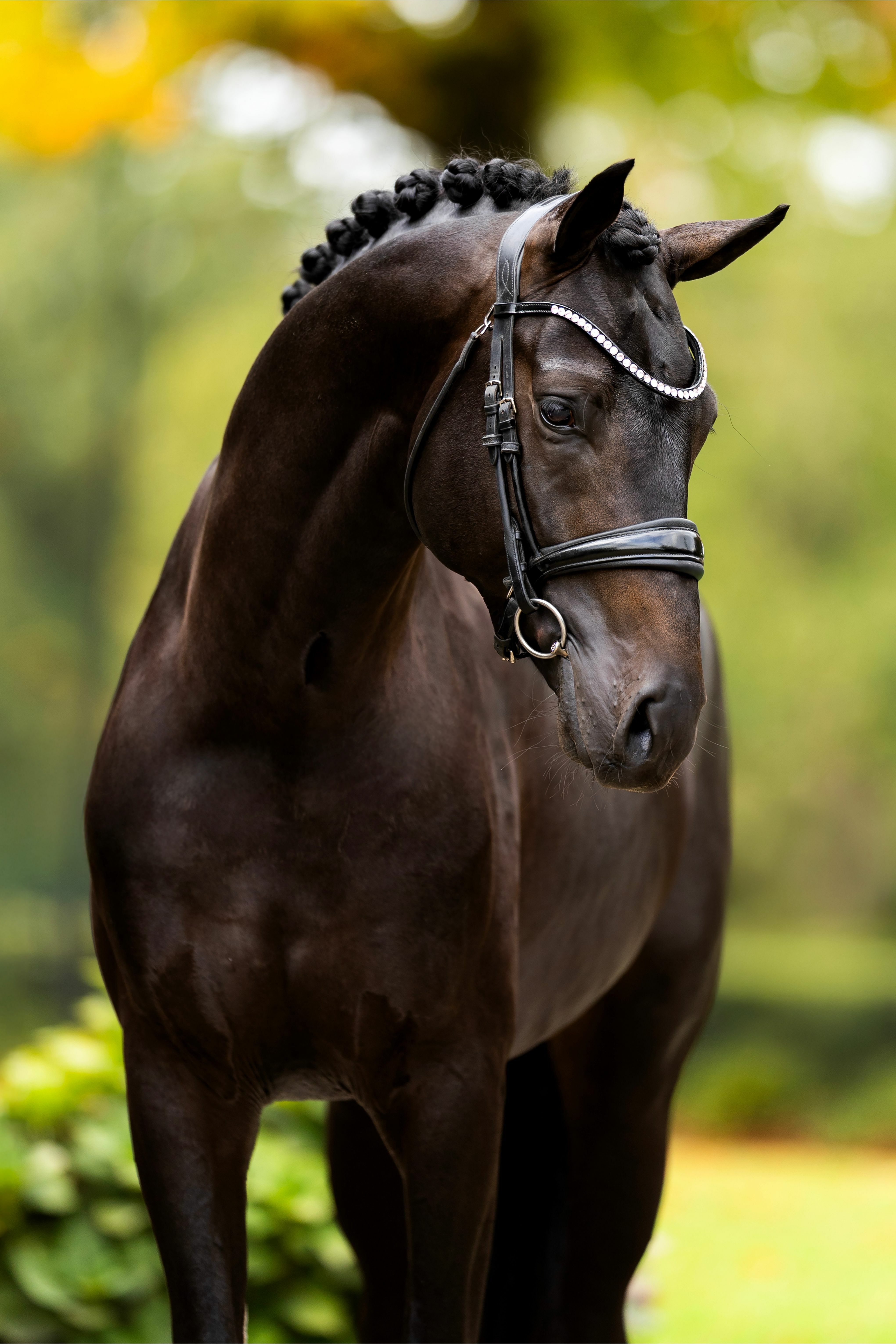 Ontwerp zonder titel 83