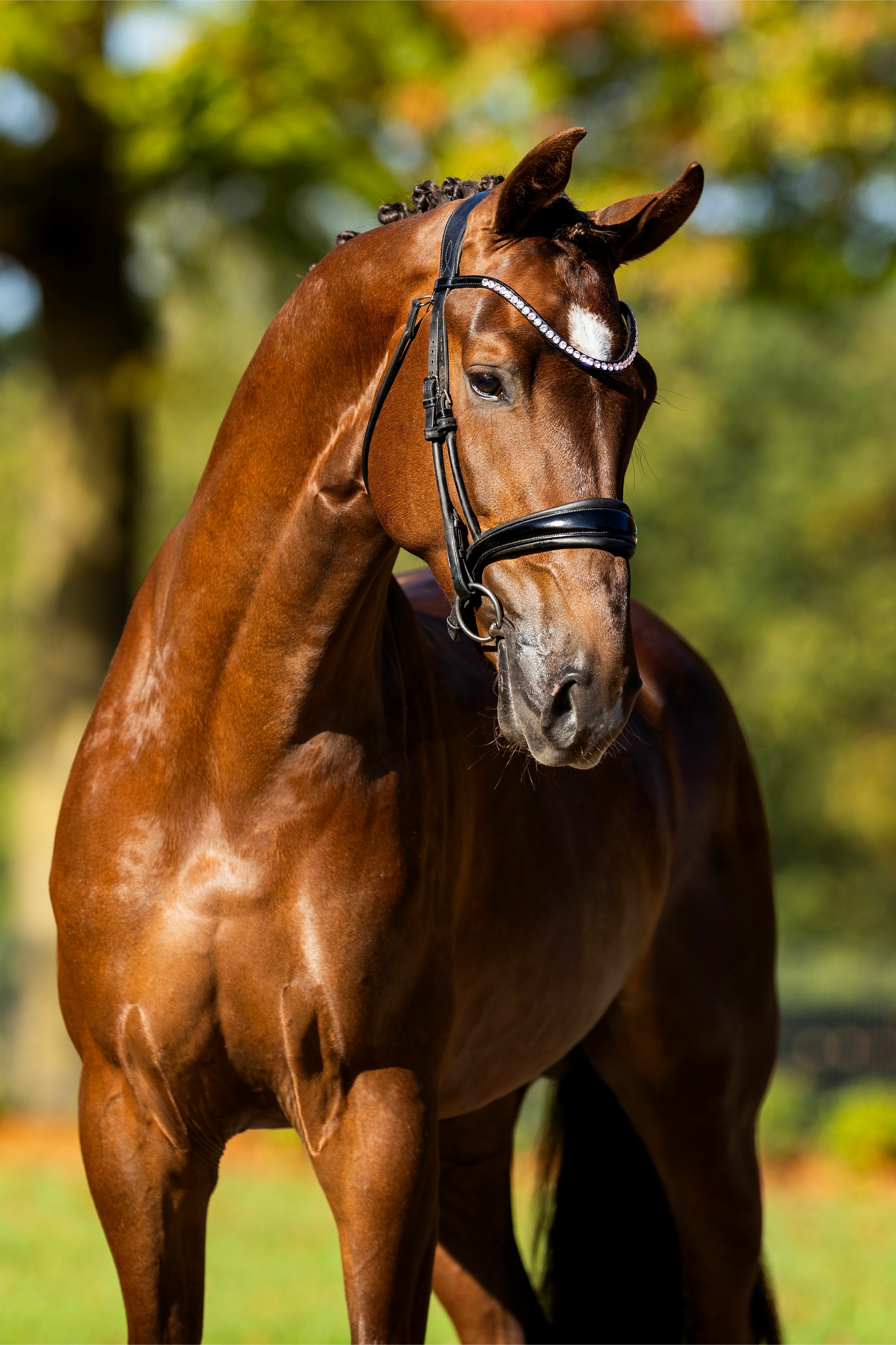 Ontwerp zonder titel 87