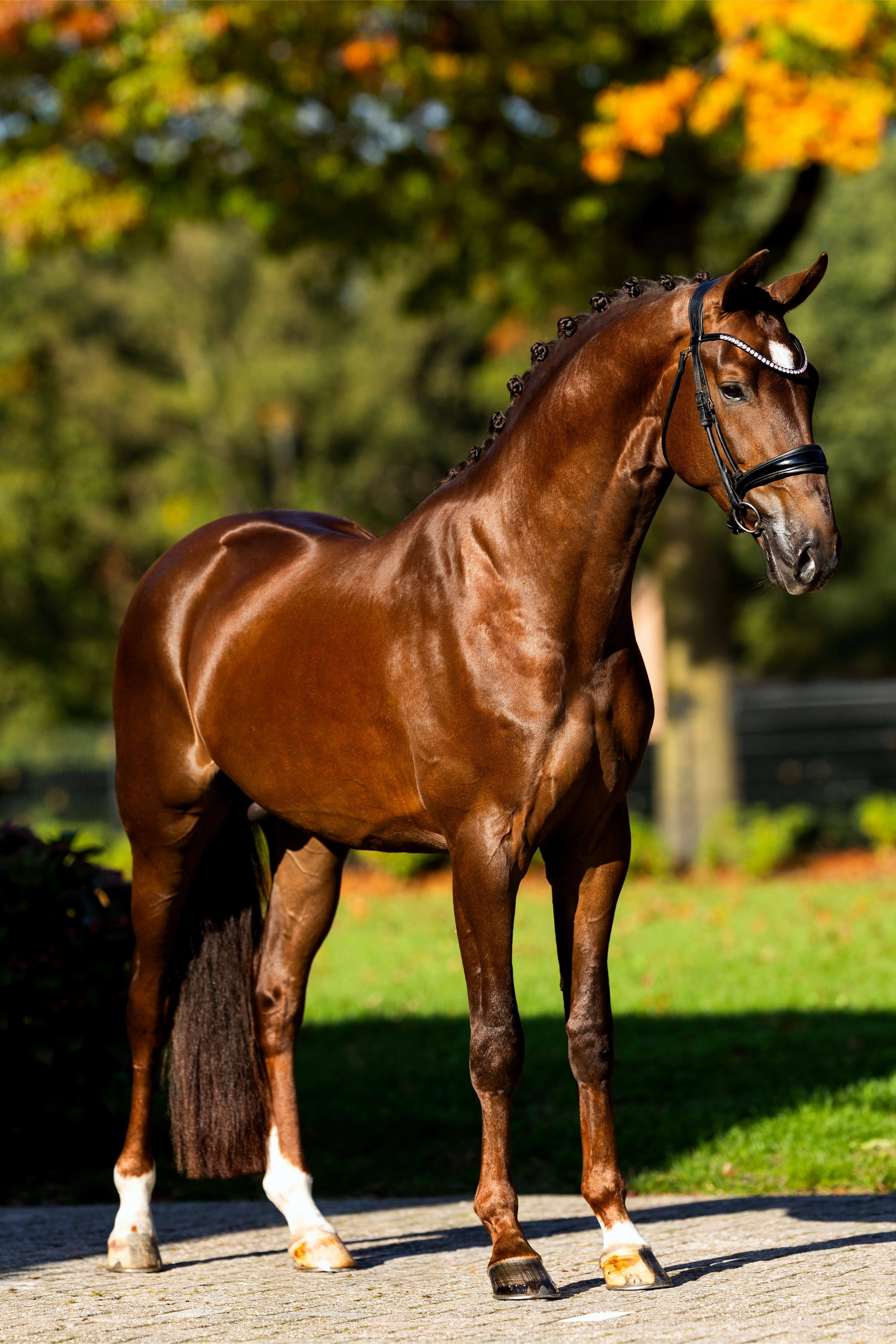 Ontwerp zonder titel 88 1