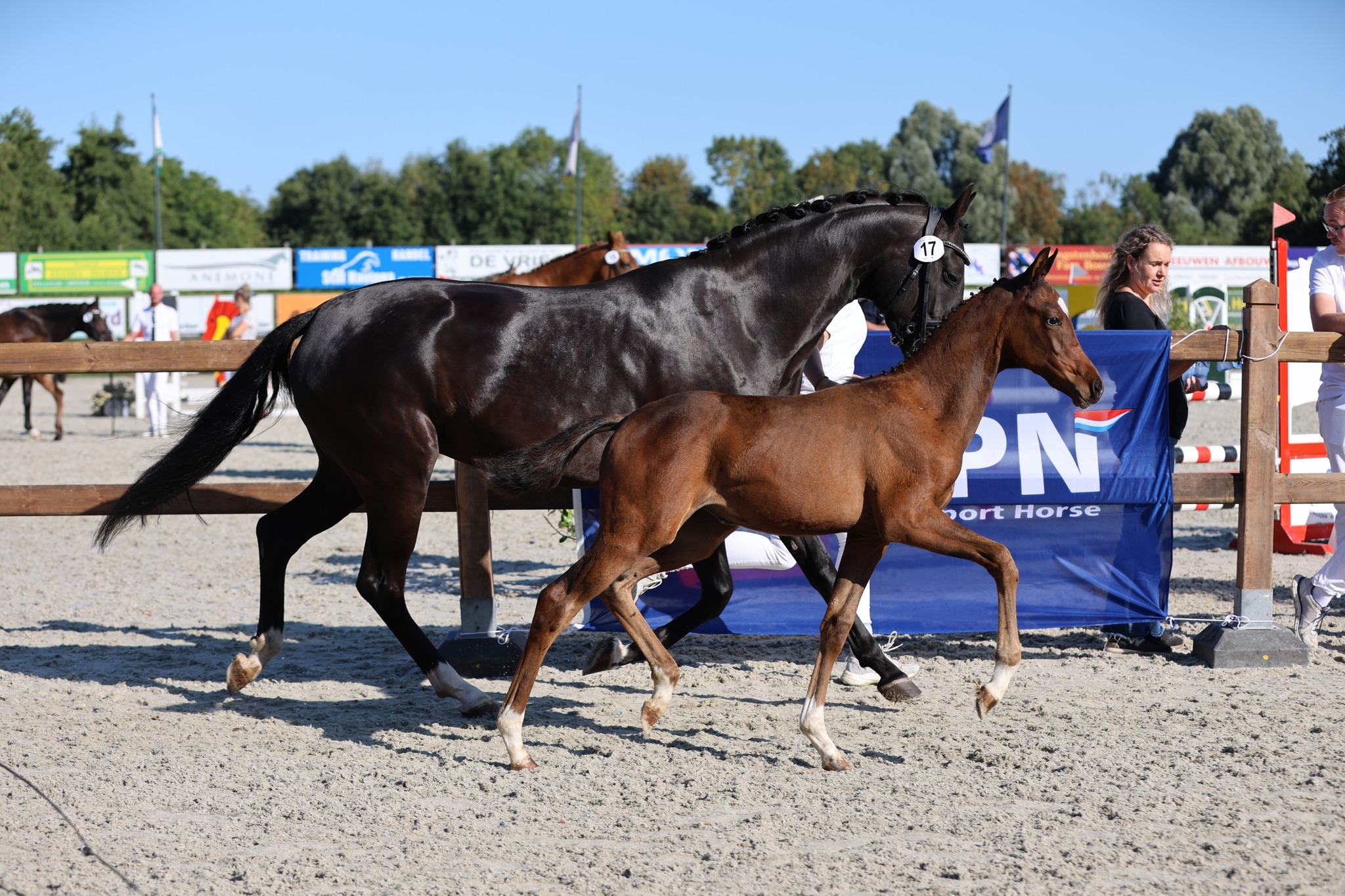 Vino Tinto x For Ferrero Miranda Nouwens Brandt 4