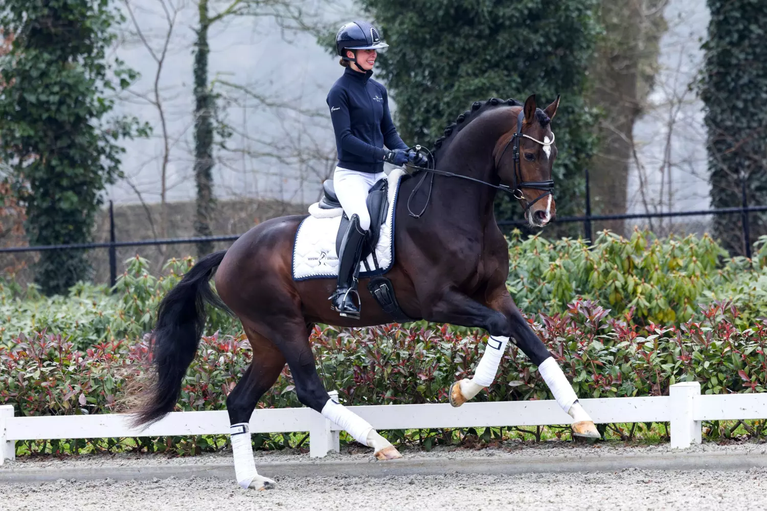 Daxx rijfoto klein