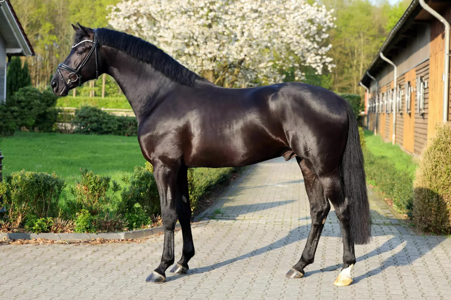 Ontwerp zonder titel 24