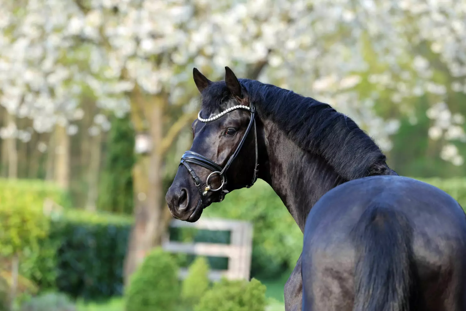 Ontwerp zonder titel 22