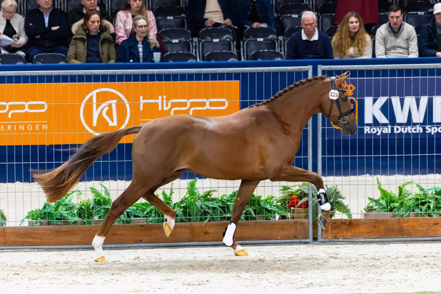 Ontwerp zonder titel 2026 02 11 T123247 226 1