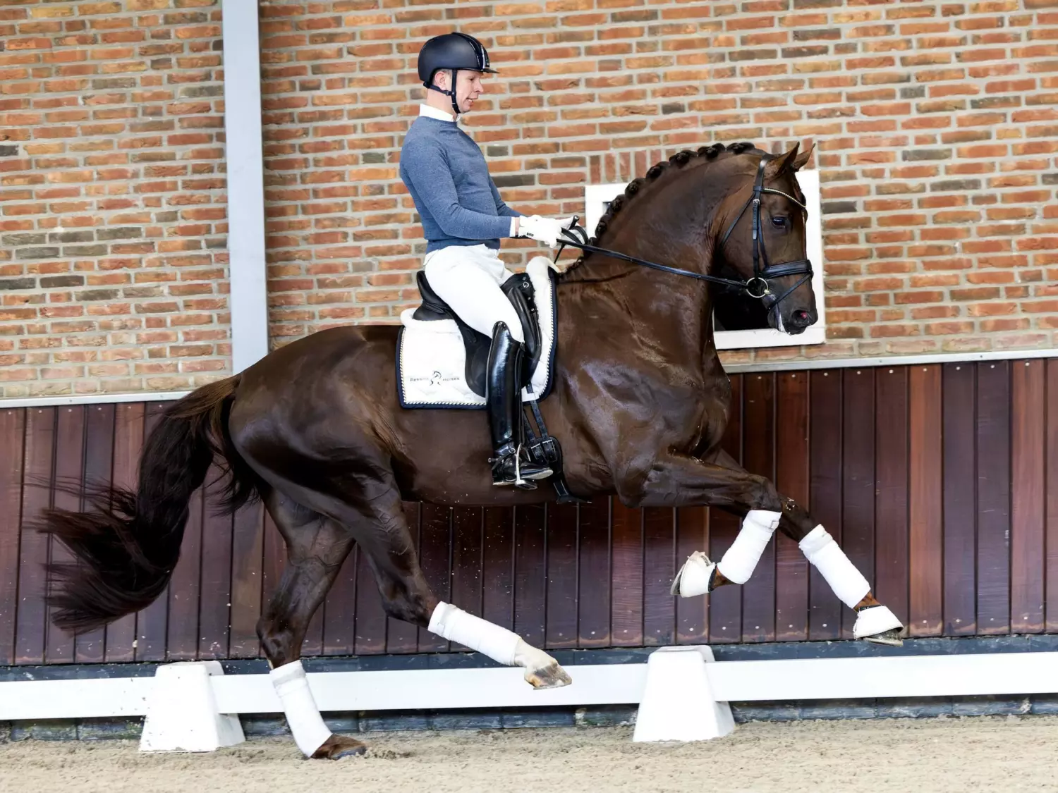 【CSR】 Red Hare, Unrivaled Stallion - EVP Czaprak QHP Gwenn Pink Pony VS róż