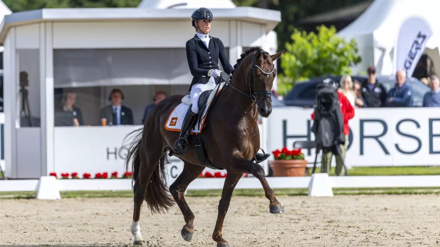 Dinja van Liere Red Viper VERD25 L298572